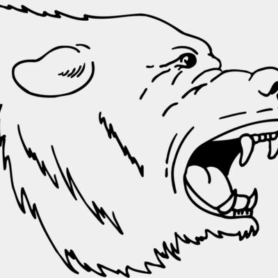 BEAR022 Thumbnail